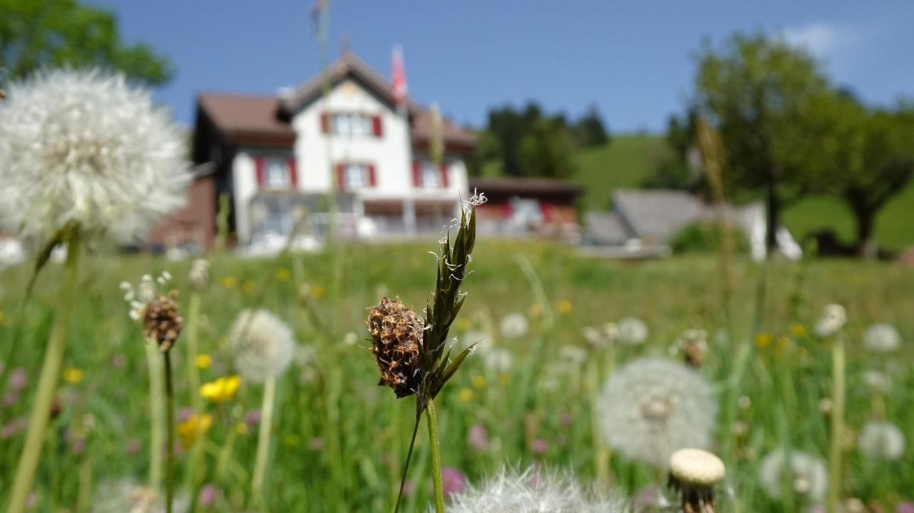 Gasthaus Schwand Engelberg Exteriér fotografie