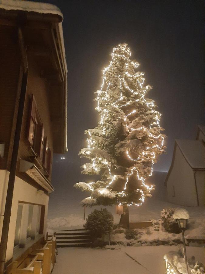 Gasthaus Schwand Engelberg Exteriér fotografie